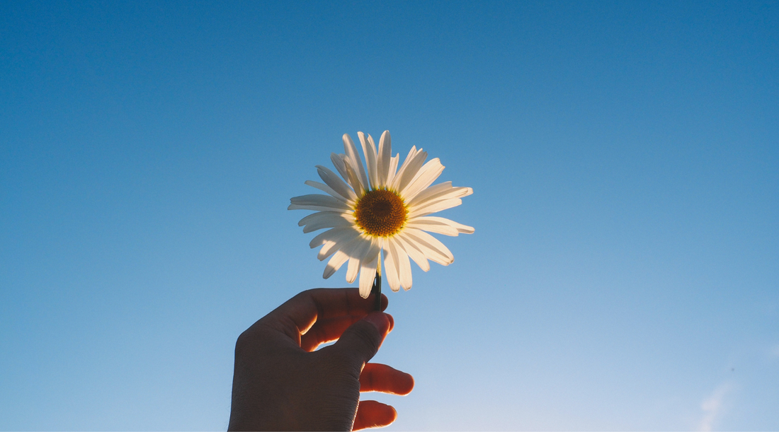 The Sunshine Mindset: Choosing positivity every day