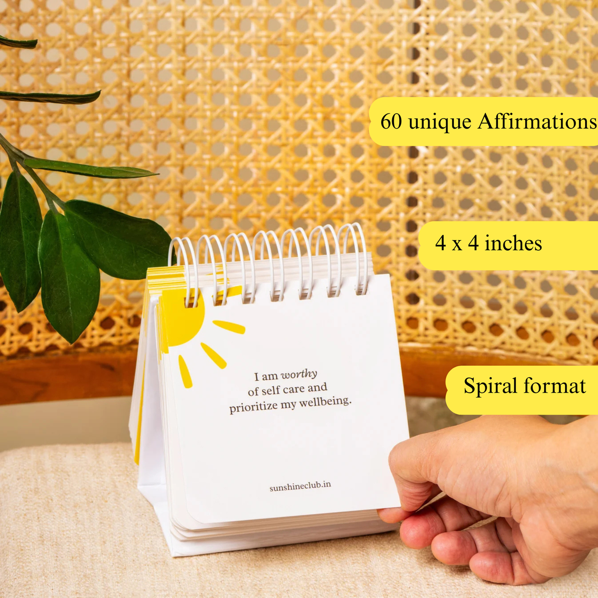 Sunshine Reminders | Daily Affirmation Cards