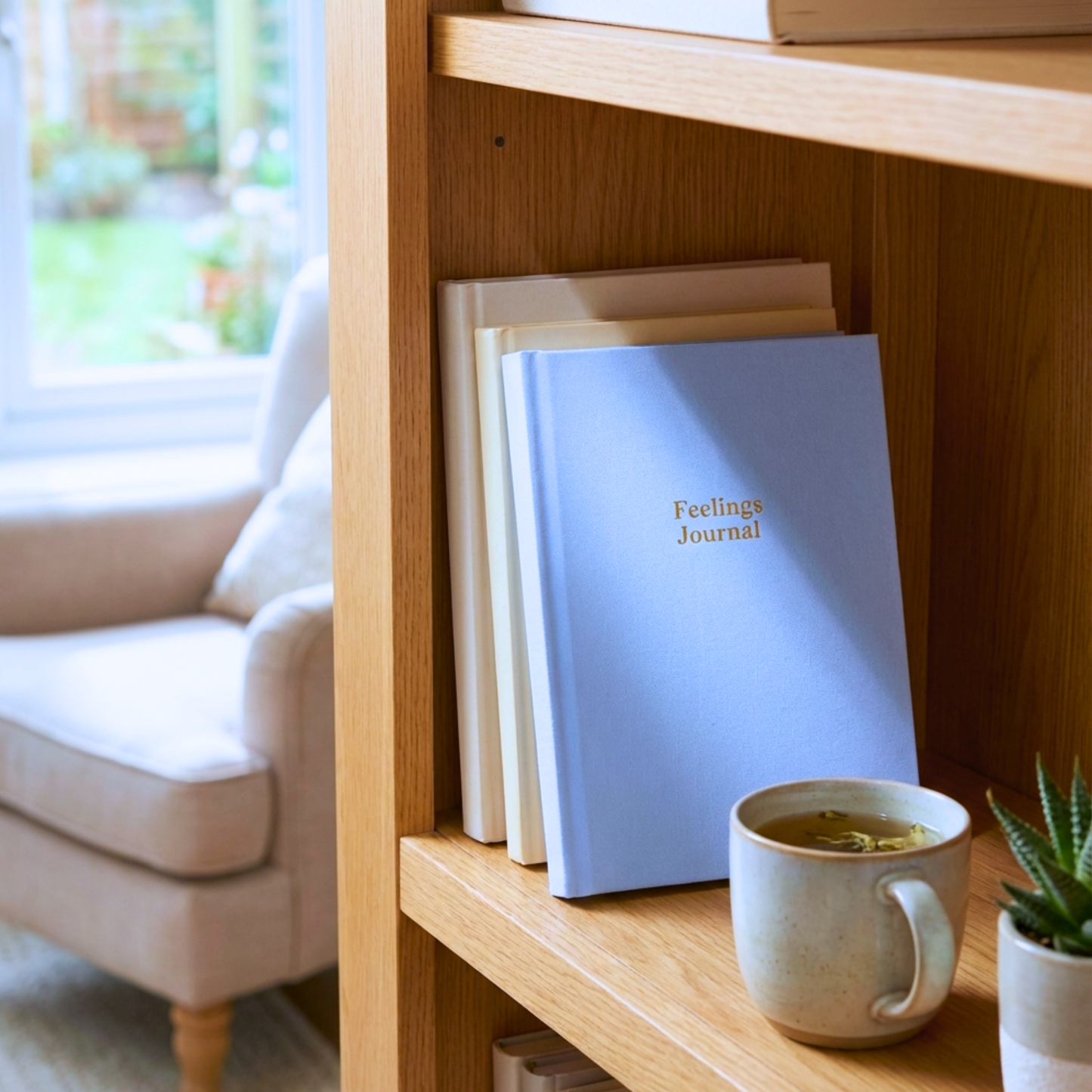 Feelings Journal