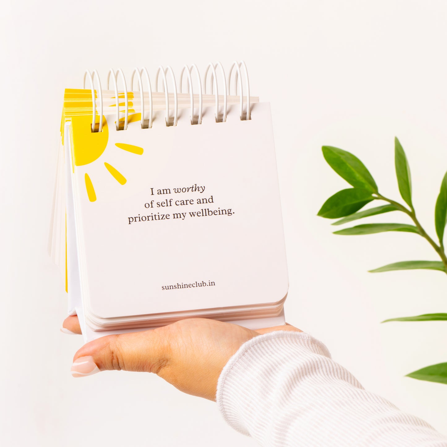 Sunshine Reminders | Daily Affirmation Cards