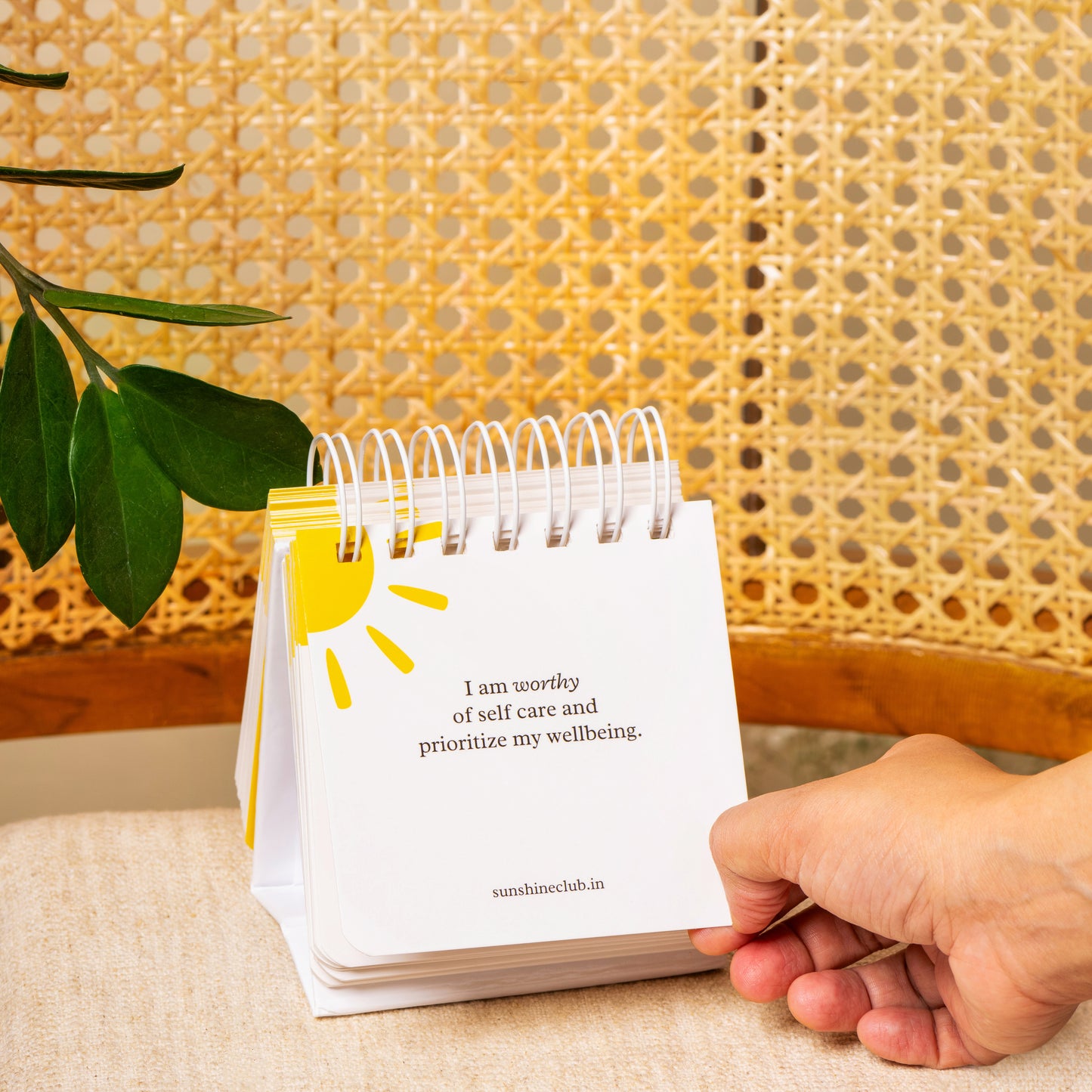 The Balance Bundle | Affirmation Cards & Planner